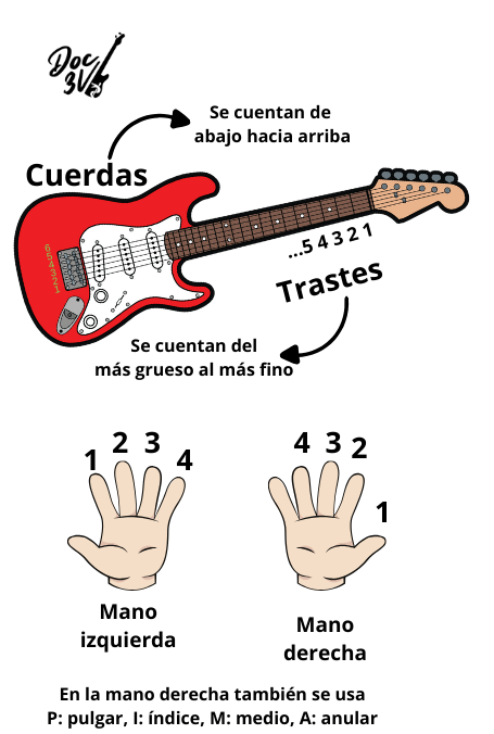 Cómo se cuentan los trastes, cuerdas y dedos